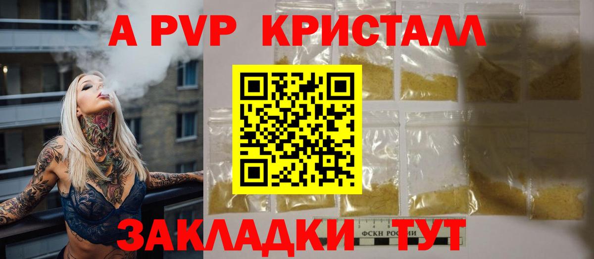 A PVP СК Элиста