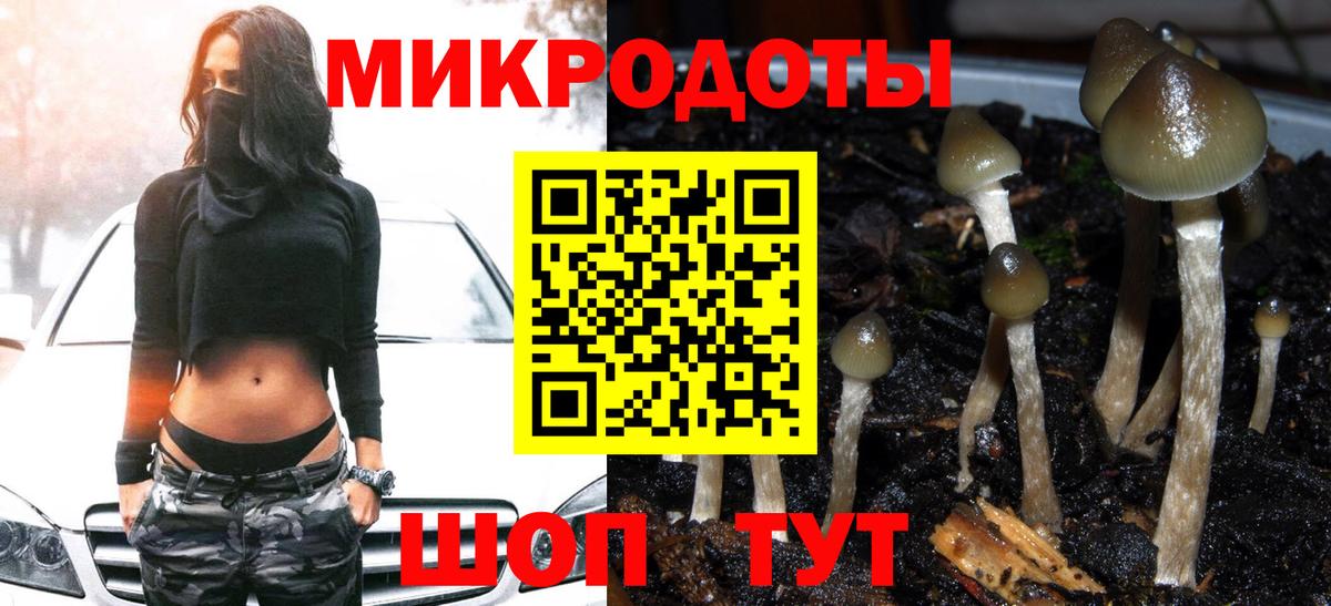 Галлюциногенные грибы Psilocybe  где продают   Элиста  Вход с VPN 