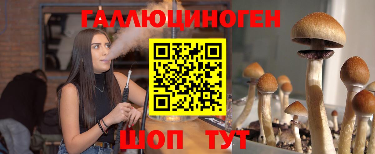 Галлюциногенные грибы Magic Shrooms Элиста